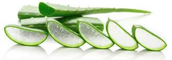 Aloe